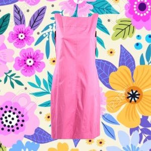 NWT Ralph Lauren Pink Shift Dress